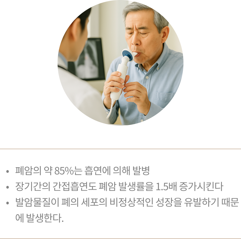암 img 01.png