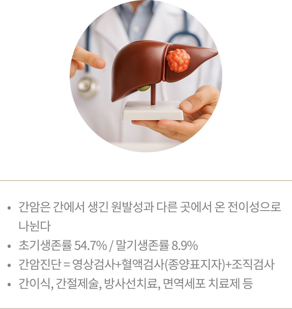 암 img 02.png